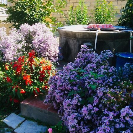 House On Ashiq Cuma Street 8 Bed and Breakfast Şǝki Exteriör bild