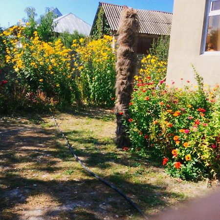 House On Ashiq Cuma Street 8 Bed and Breakfast Şǝki Exteriör bild