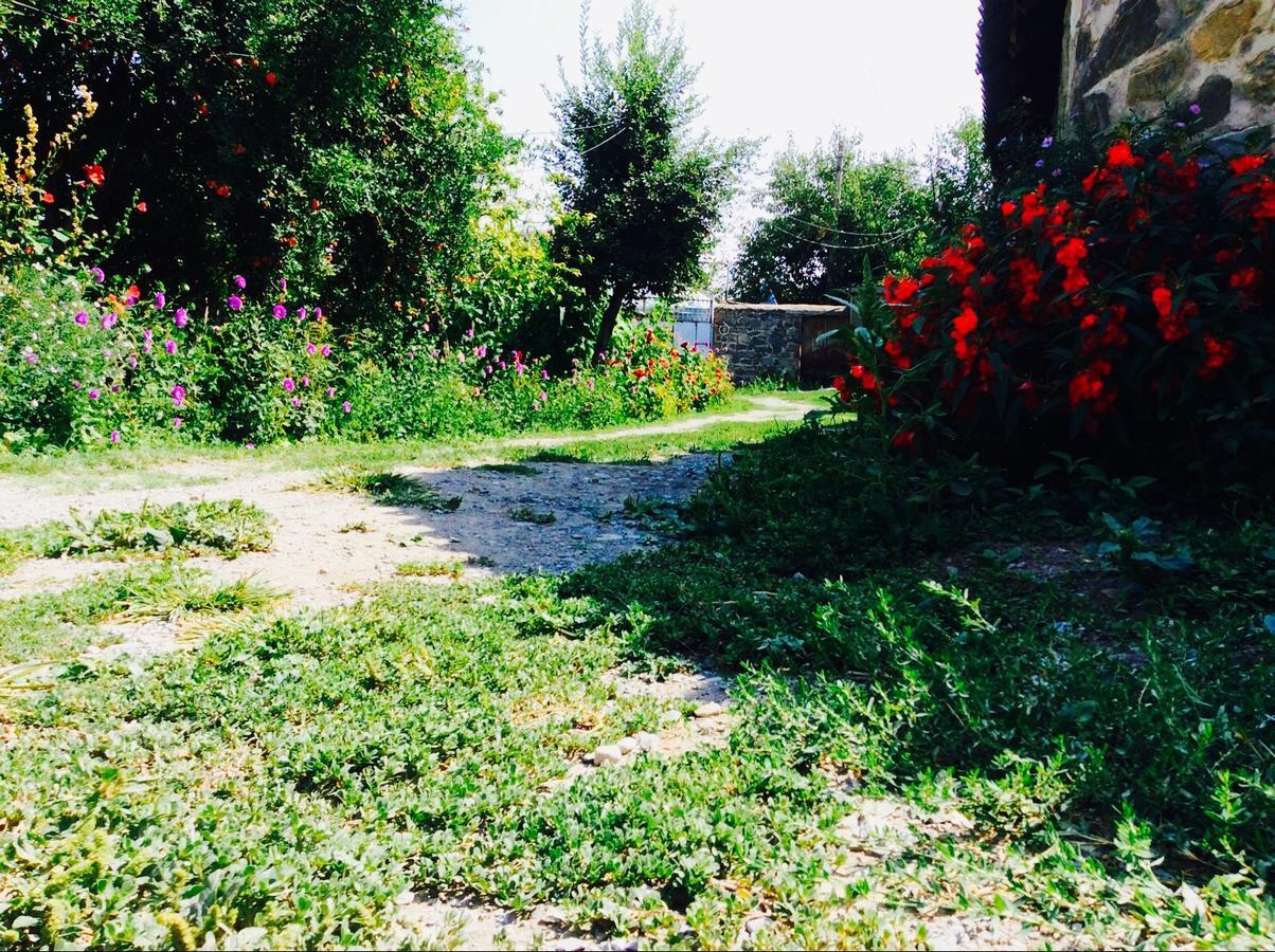House On Ashiq Cuma Street 8 Bed and Breakfast Şǝki Exteriör bild