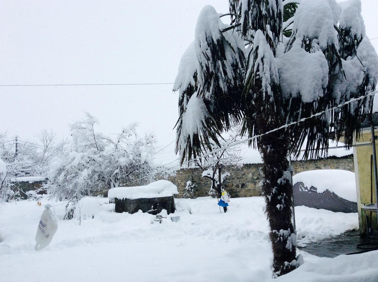 House On Ashiq Cuma Street 8 Bed and Breakfast Şǝki Exteriör bild