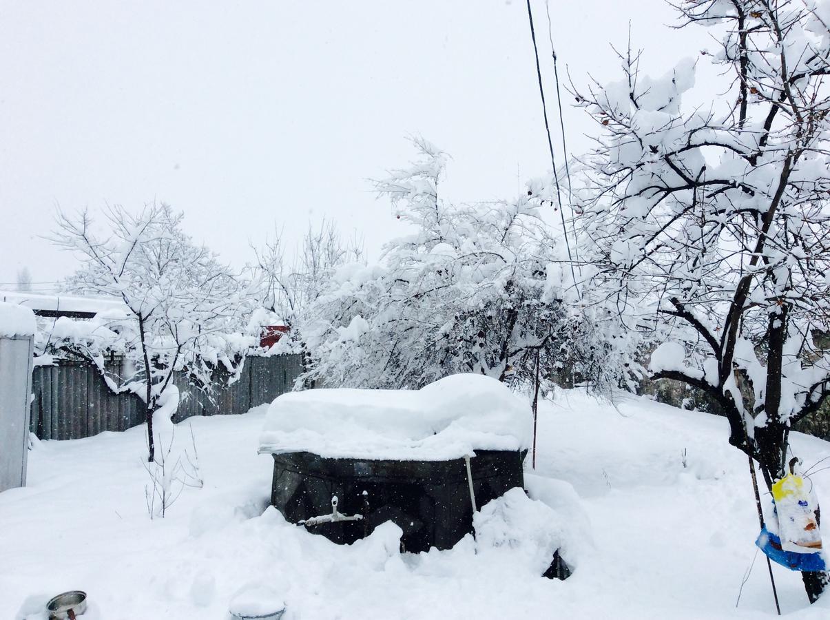 House On Ashiq Cuma Street 8 Bed and Breakfast Şǝki Exteriör bild