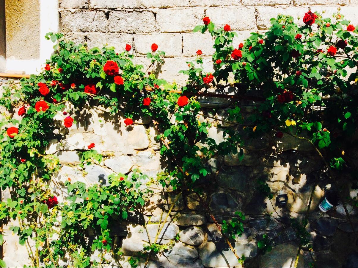 House On Ashiq Cuma Street 8 Bed and Breakfast Şǝki Exteriör bild