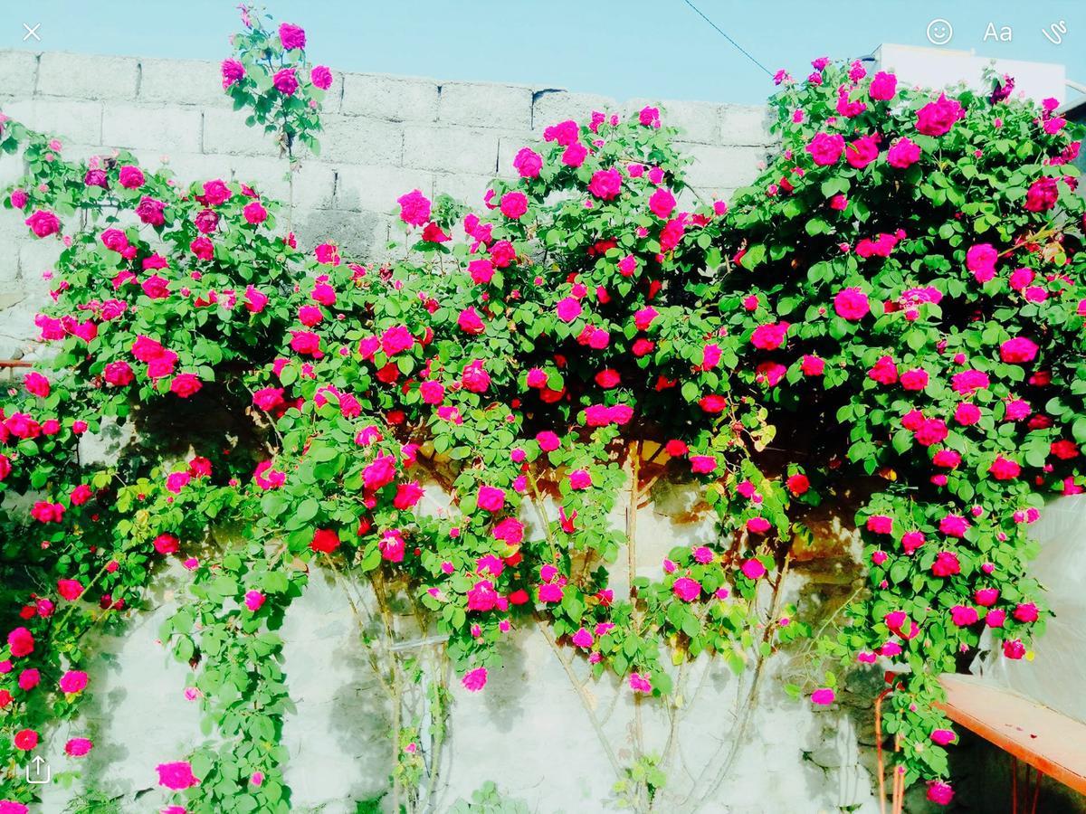 House On Ashiq Cuma Street 8 Bed and Breakfast Şǝki Exteriör bild