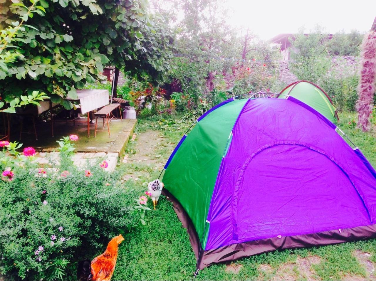 House On Ashiq Cuma Street 8 Bed and Breakfast Şǝki Exteriör bild