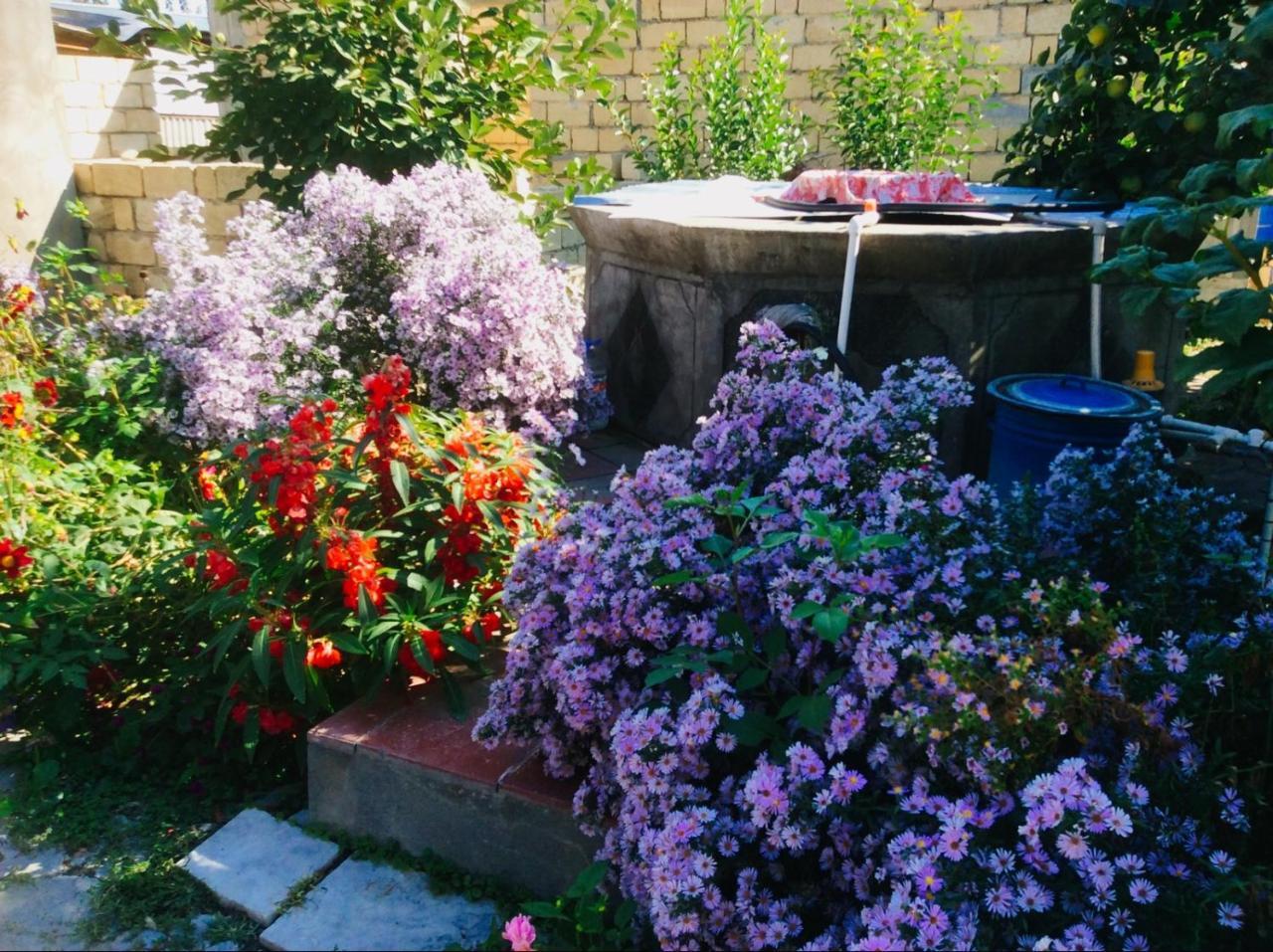 House On Ashiq Cuma Street 8 Bed and Breakfast Şǝki Exteriör bild