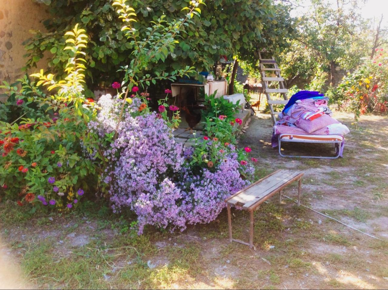House On Ashiq Cuma Street 8 Bed and Breakfast Şǝki Exteriör bild