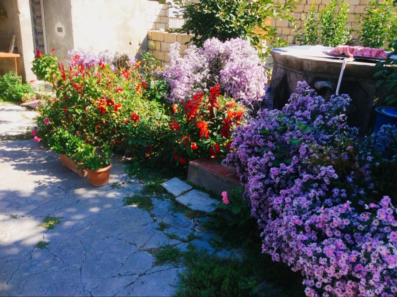 House On Ashiq Cuma Street 8 Bed and Breakfast Şǝki Exteriör bild